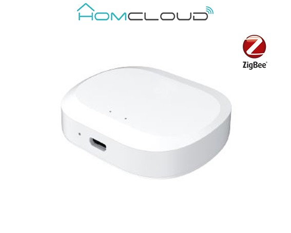 [VZ-GHZ2] Centralina intelligente Hub Termovalvole - Zigbee+Bluetooth