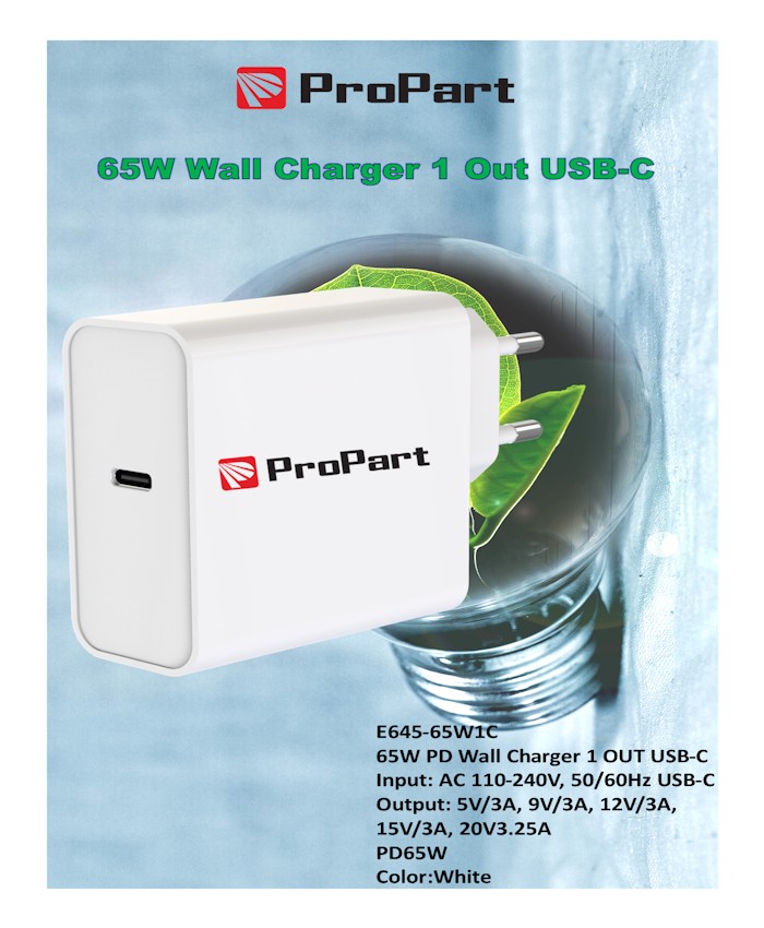 Carica Batterie 65W PD 1 Output USB-C