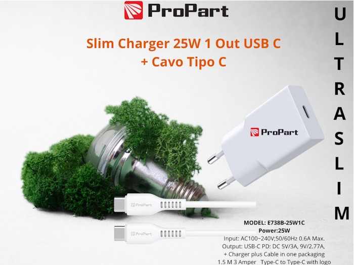 [PP738BCC25W] Slim Carica Batterie + Cavo Tipo C 25W 1 Out USB C
